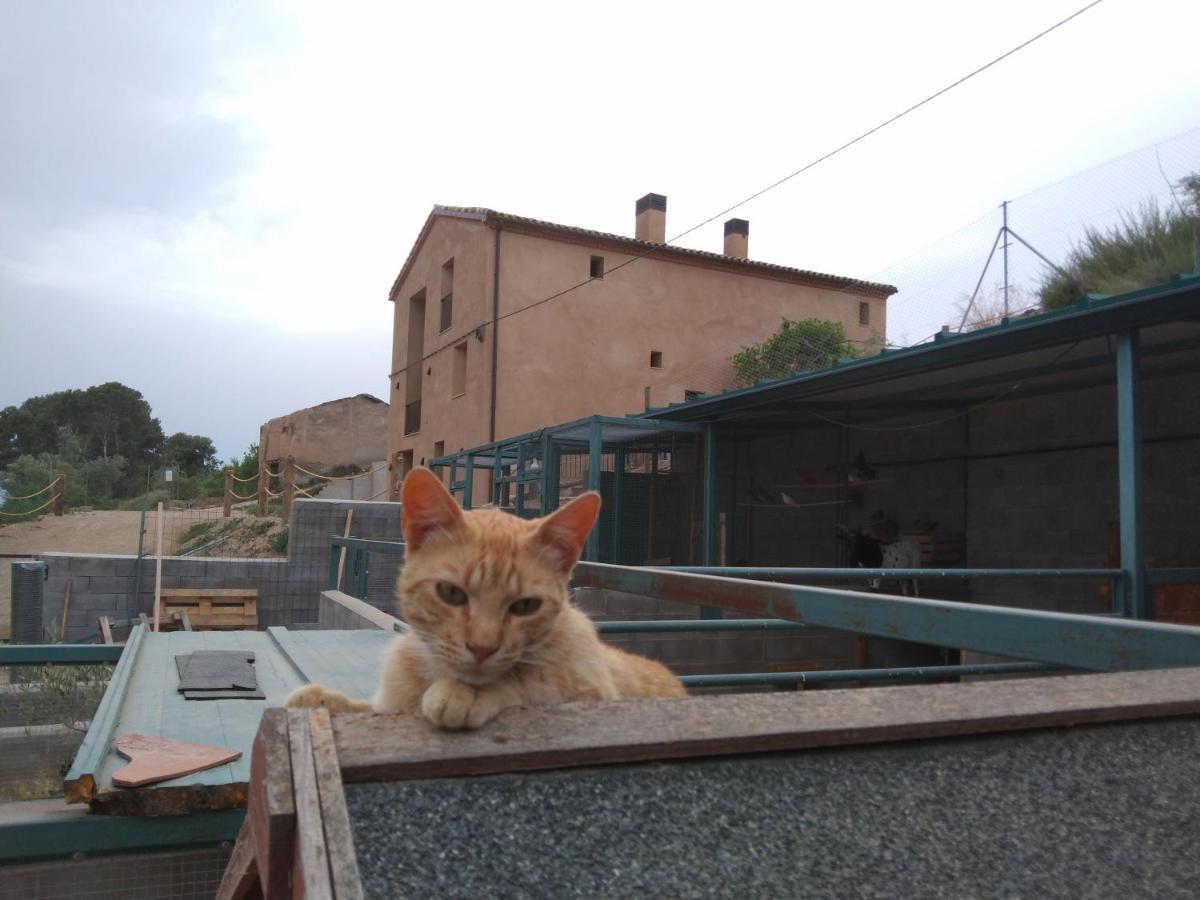 El Niu De L'Estany Villa Ivars d'Urgell ภายนอก รูปภาพ